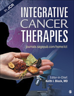 Integrative Cancer Therapies book cover